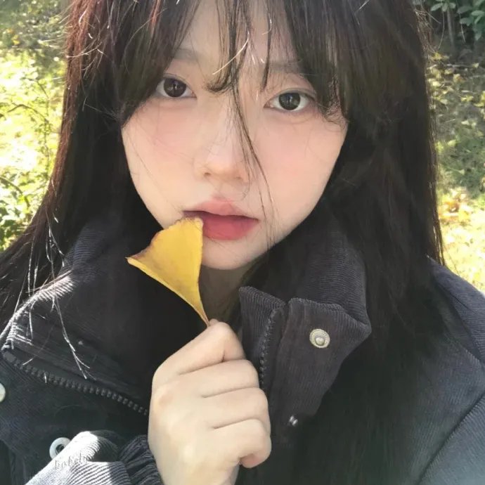爱的故事上海篇